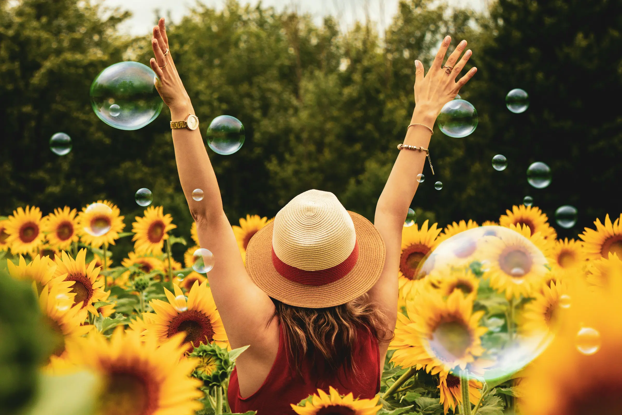 Image of a woman wearing a sun hat in a field of sunflowers raising her hands